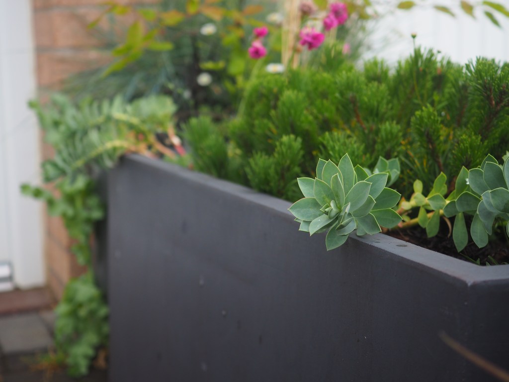 Winchburgh container design