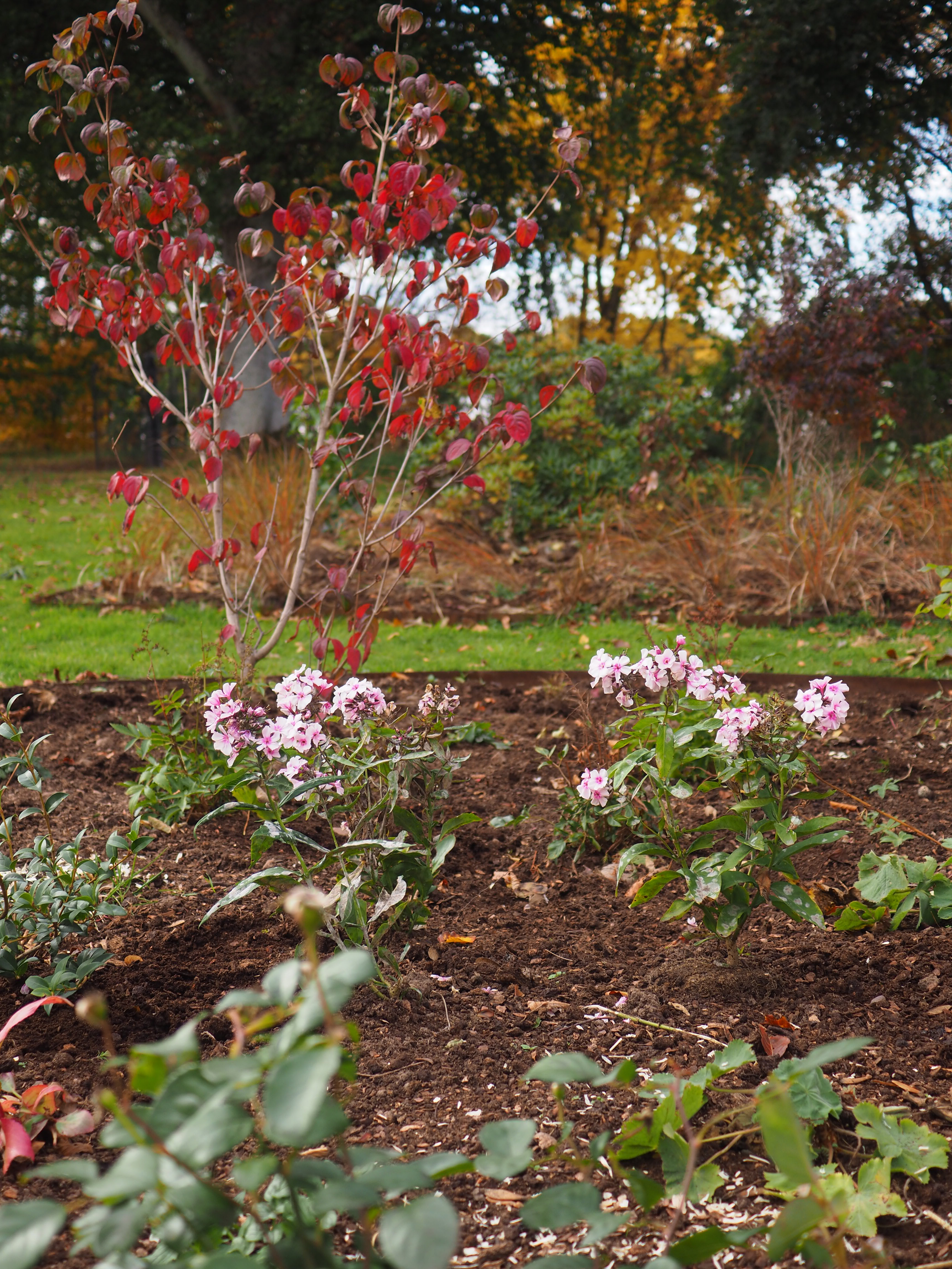 Perthshire garden design