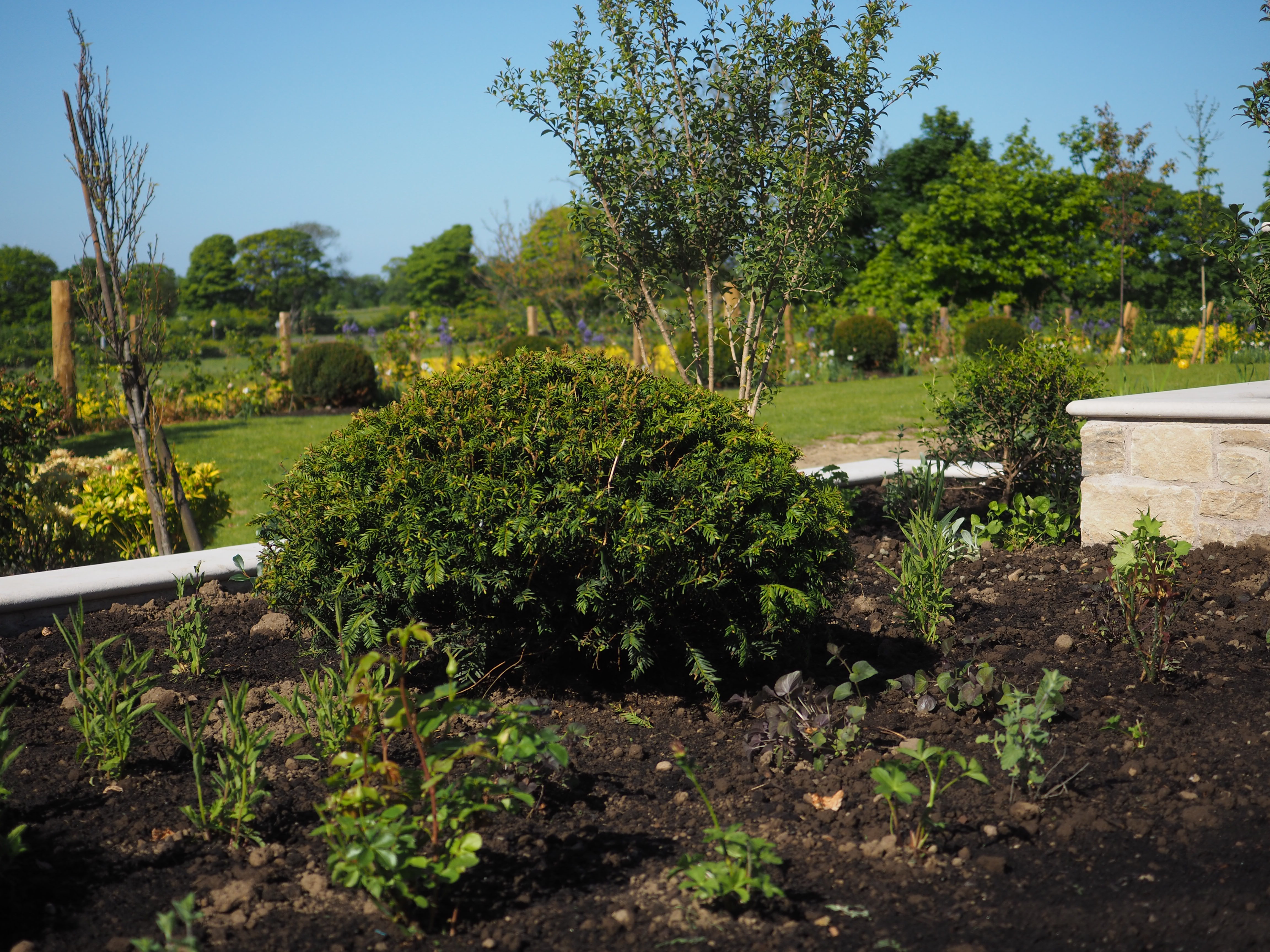 Garden design Kirkcaldy