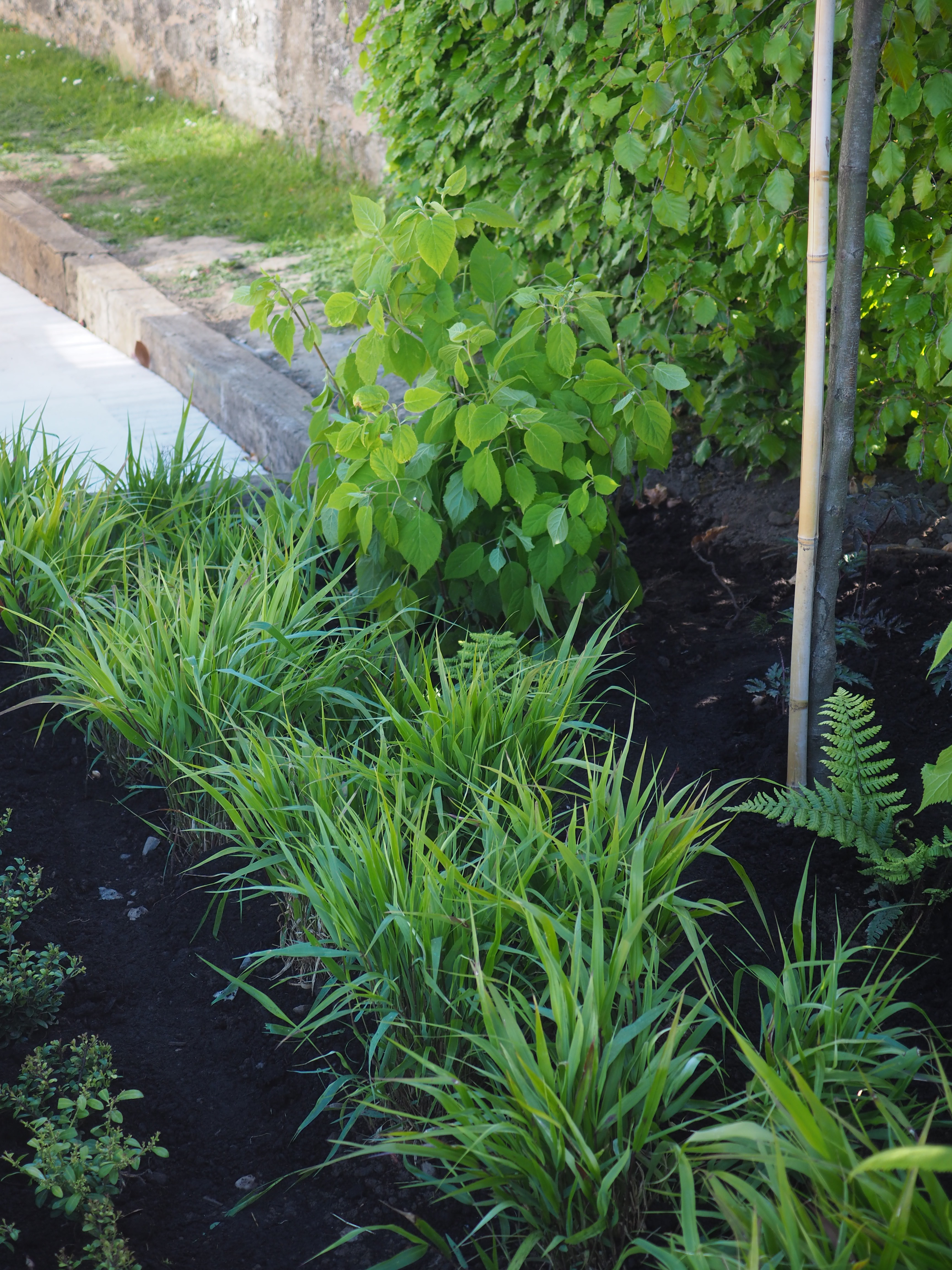 Garden design Kirkcaldy