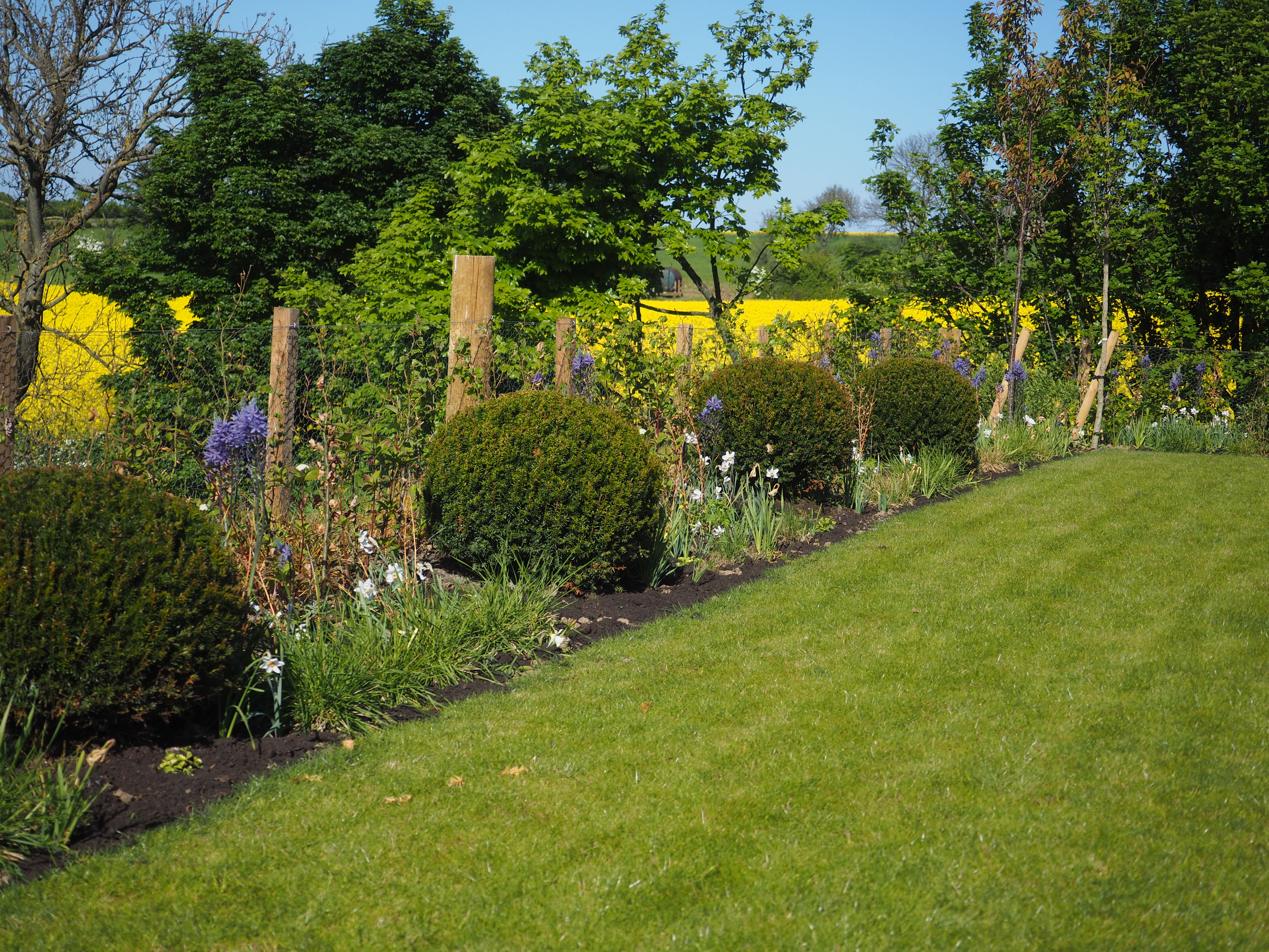 Garden design Kirkcaldy