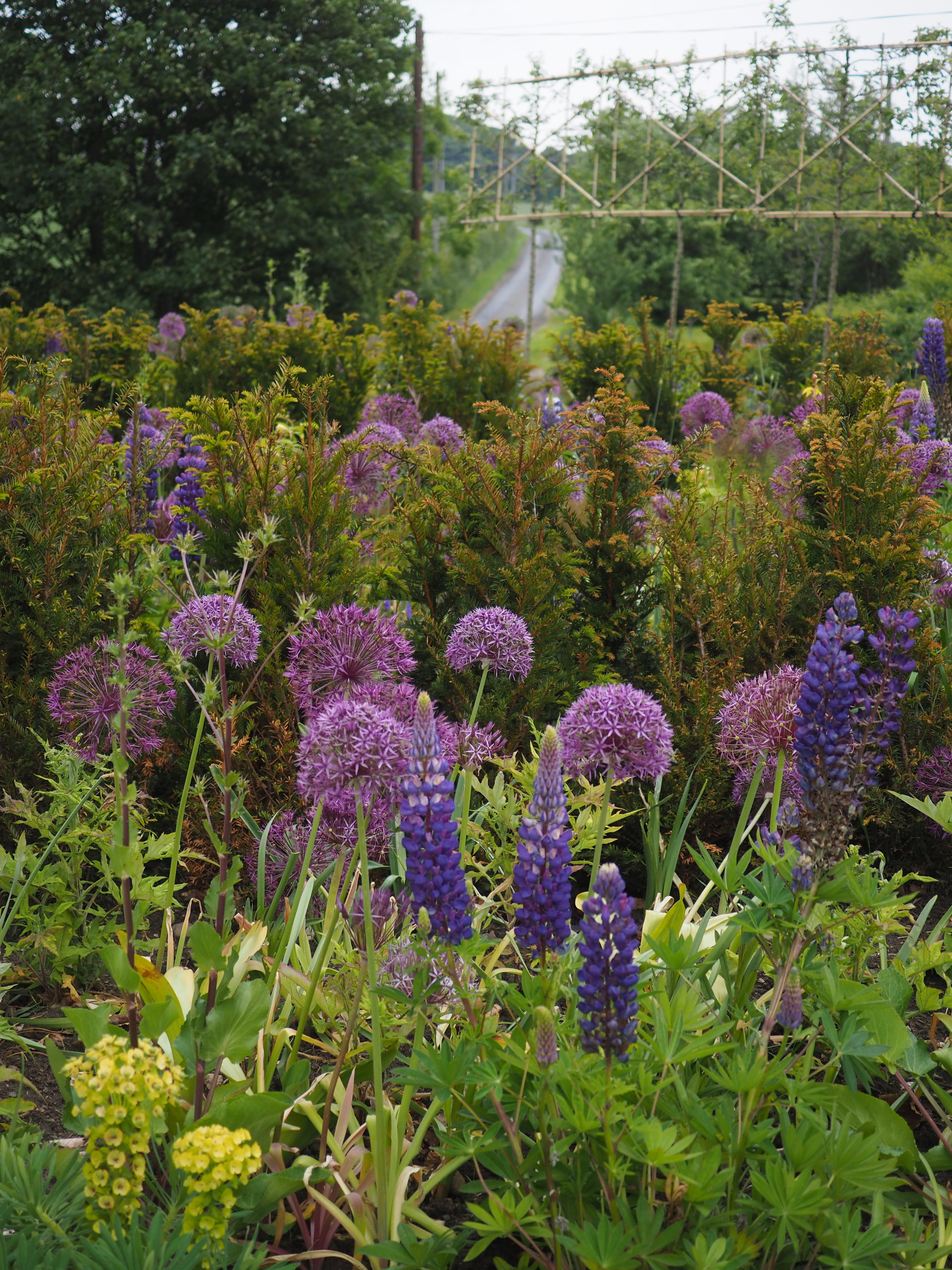 Kirkcaldy garden design