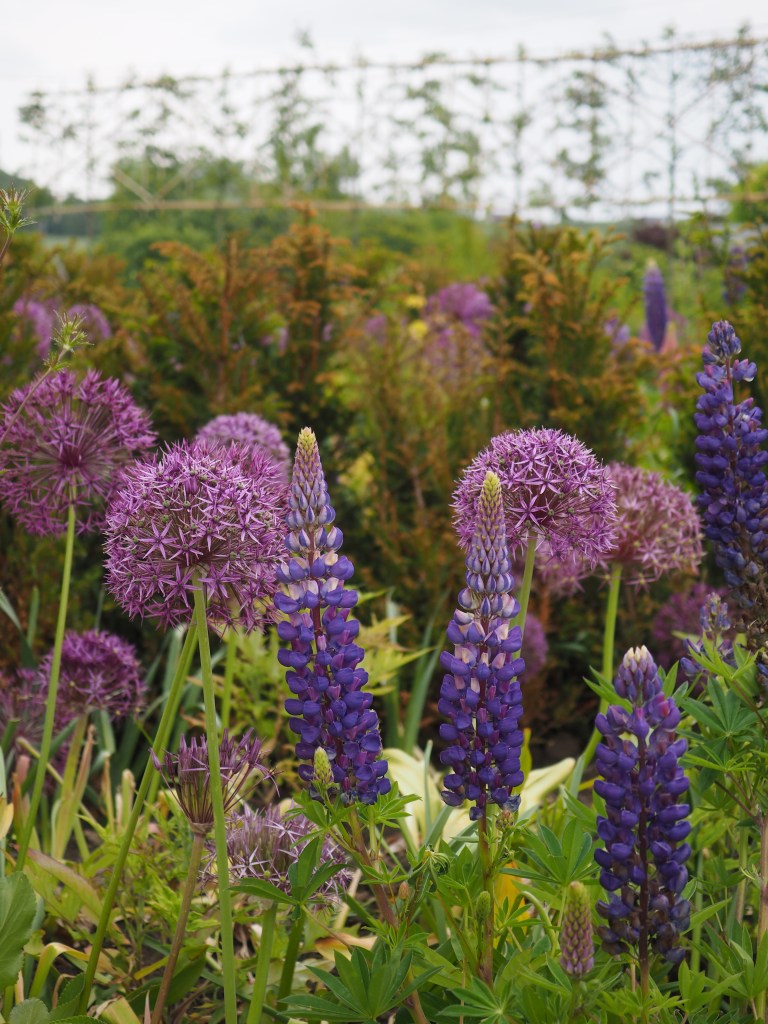 Kirkcaldy garden design