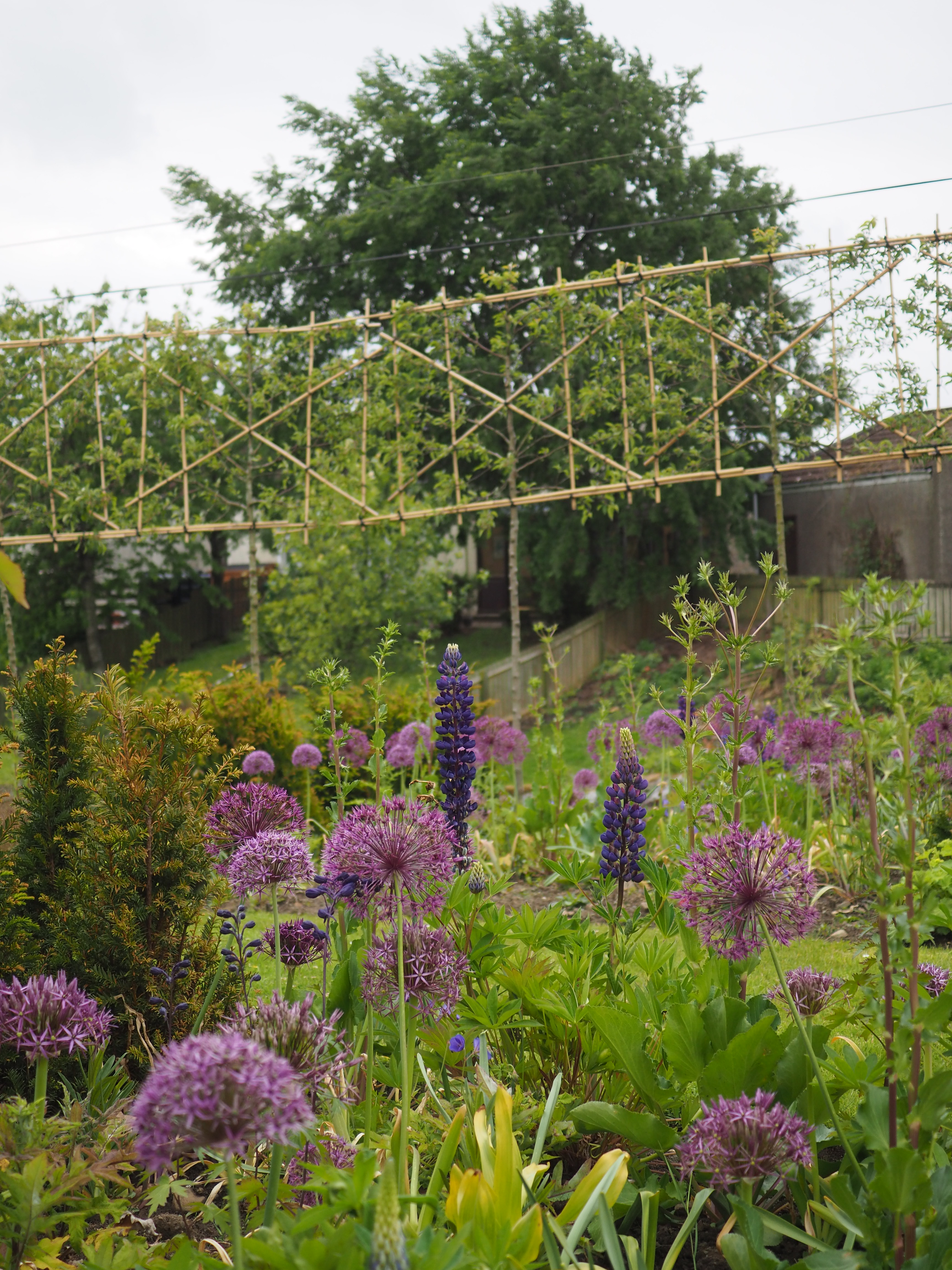 Kirkcaldy garden design