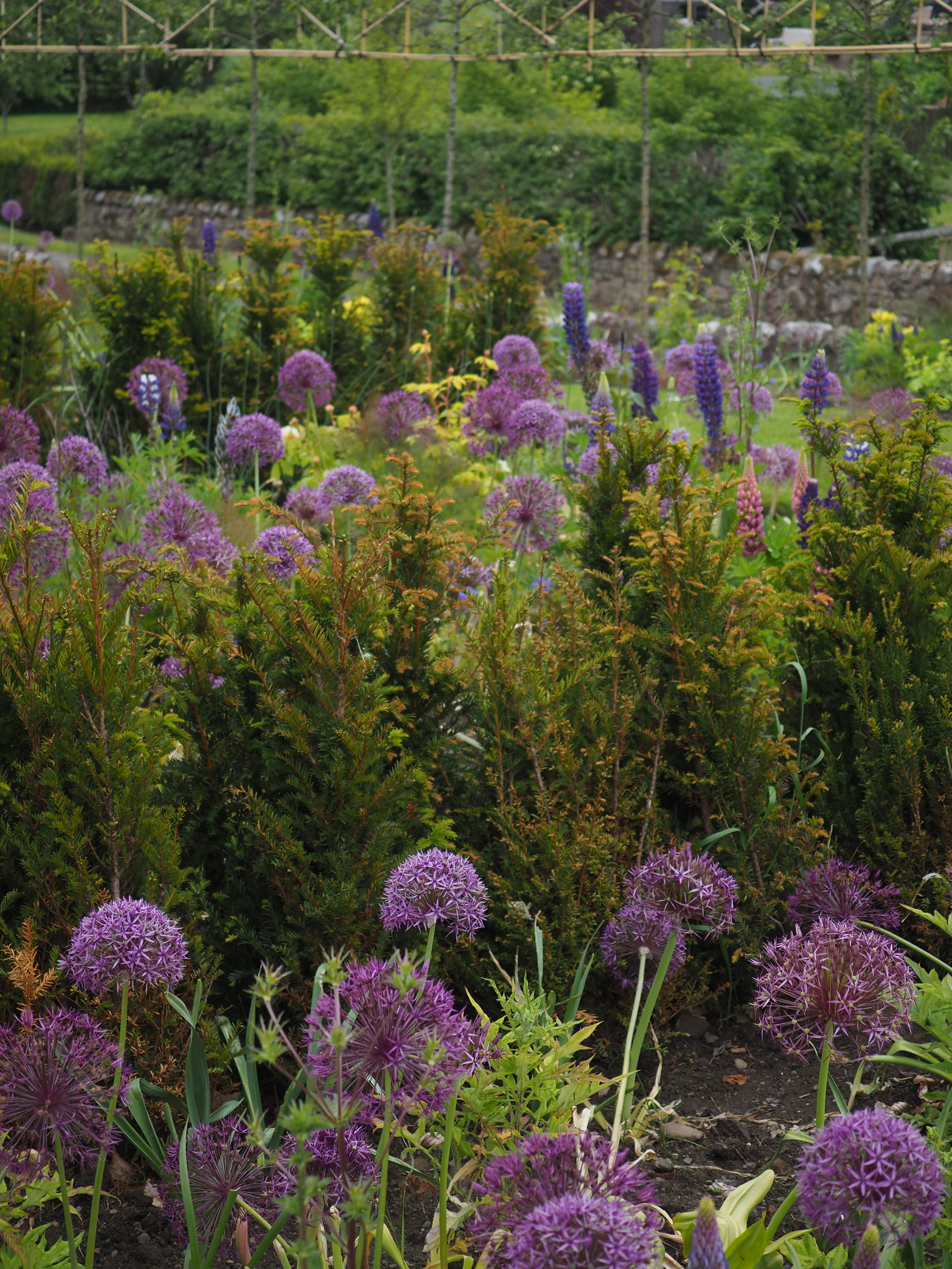 Kirkcaldy garden design