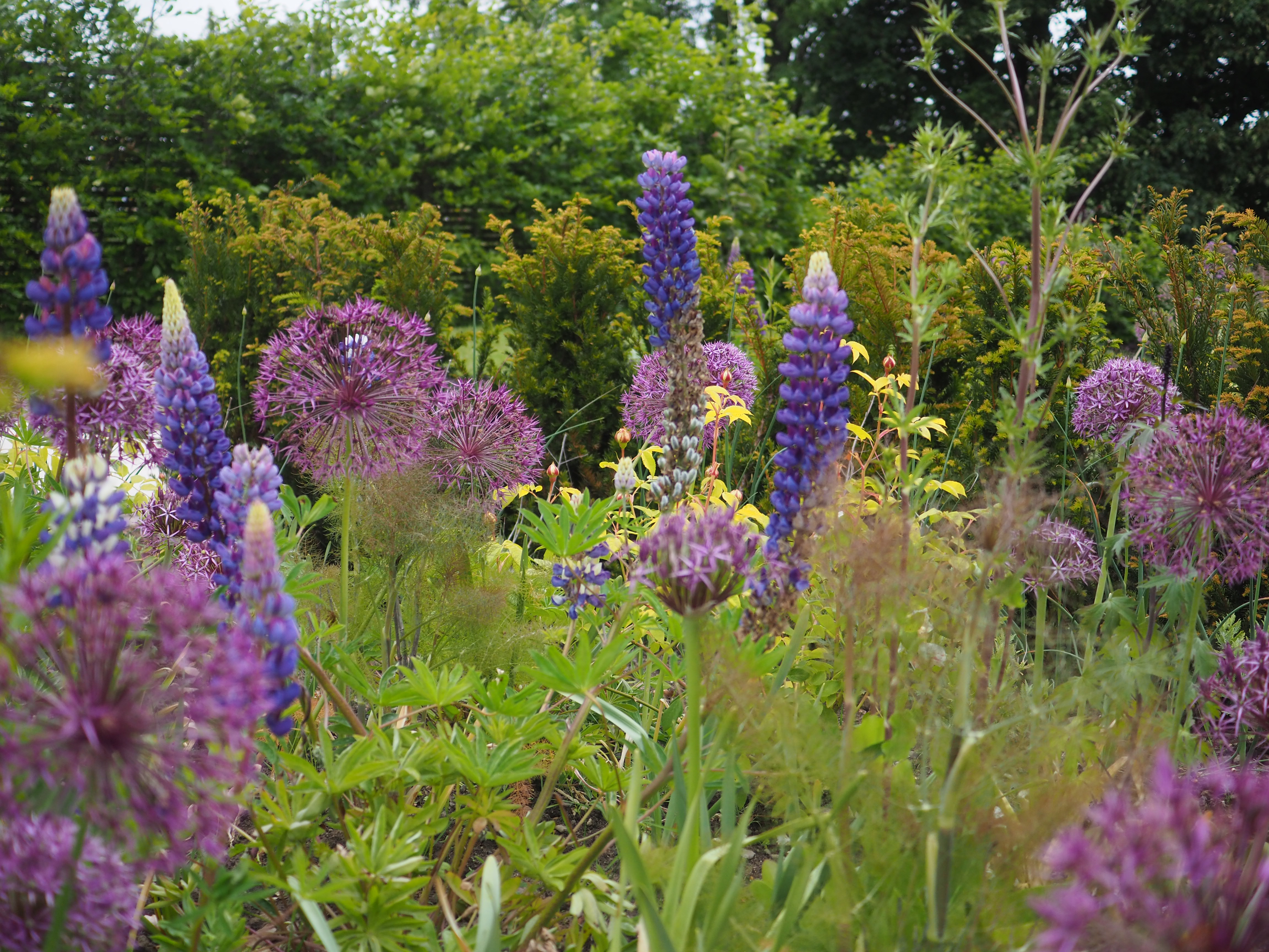 Kirkcaldy garden design