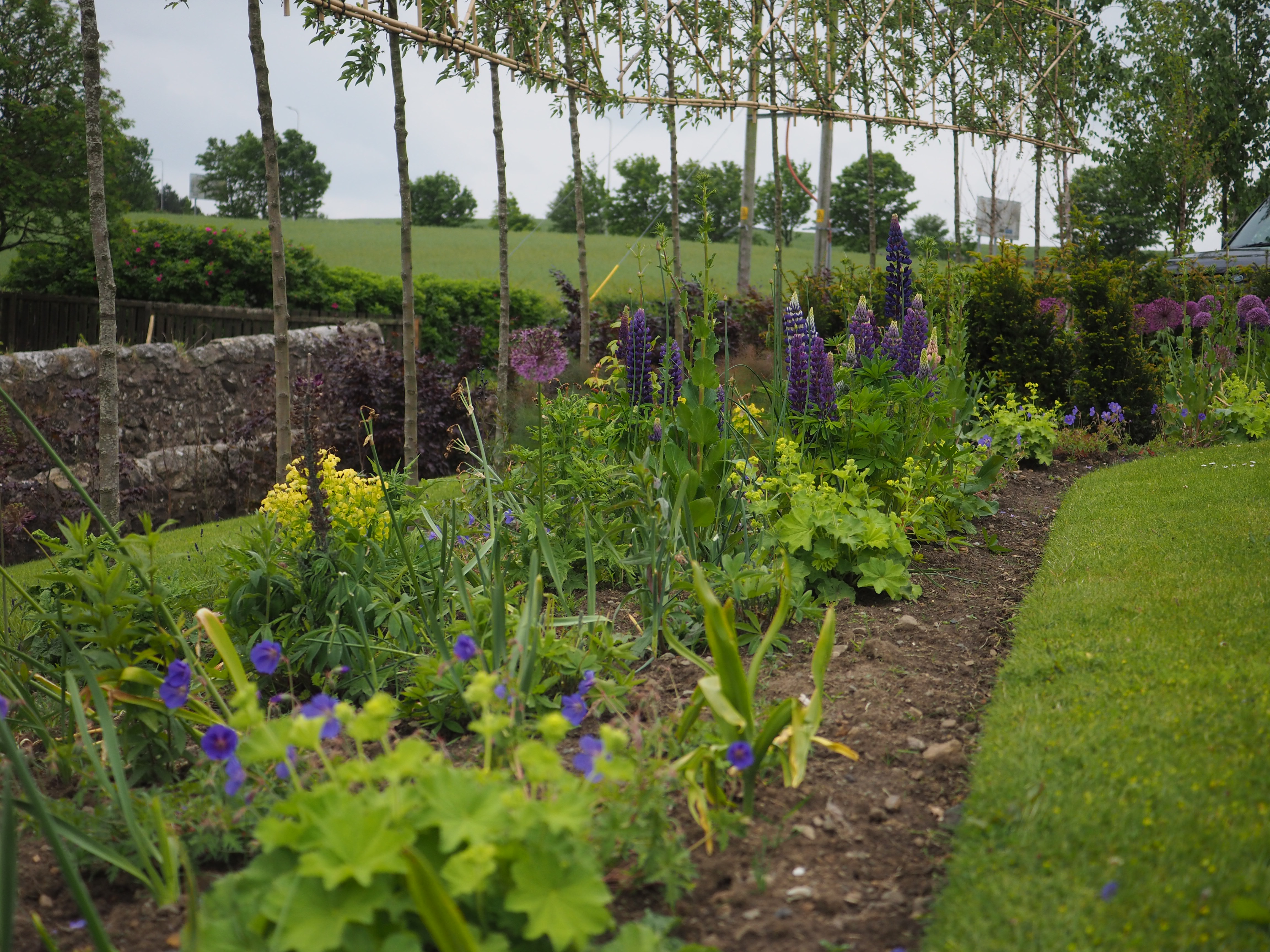Kirkcaldy garden design