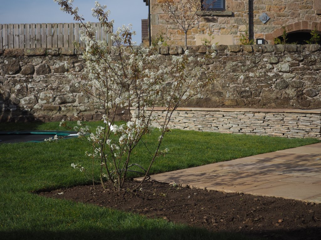 Winchburgh family garden