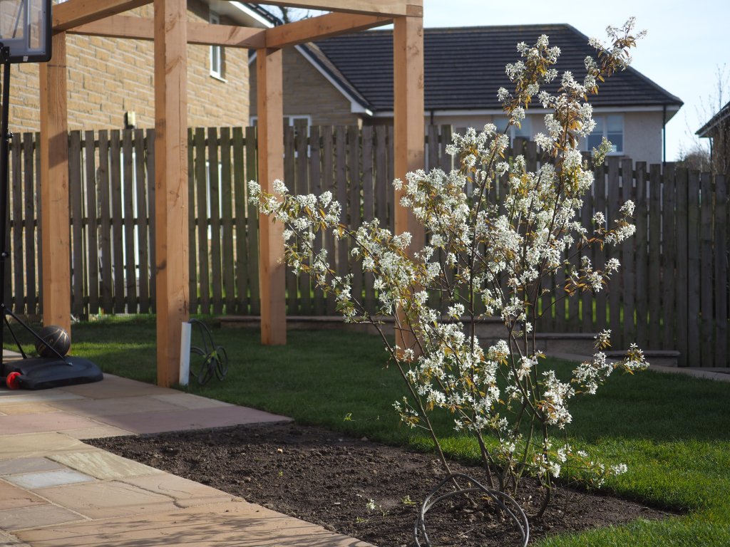 Winchburgh garden design