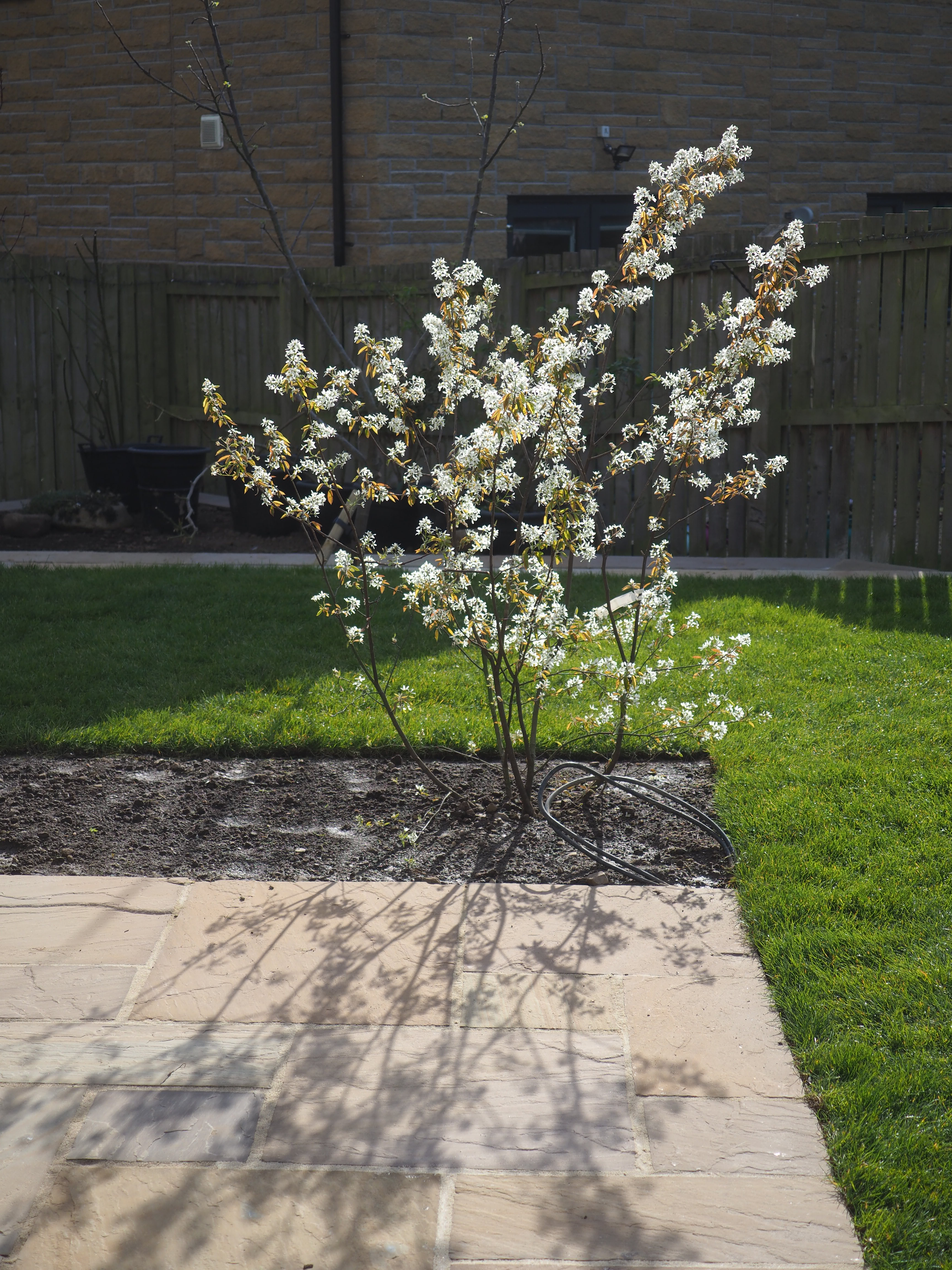 Winchburgh garden design