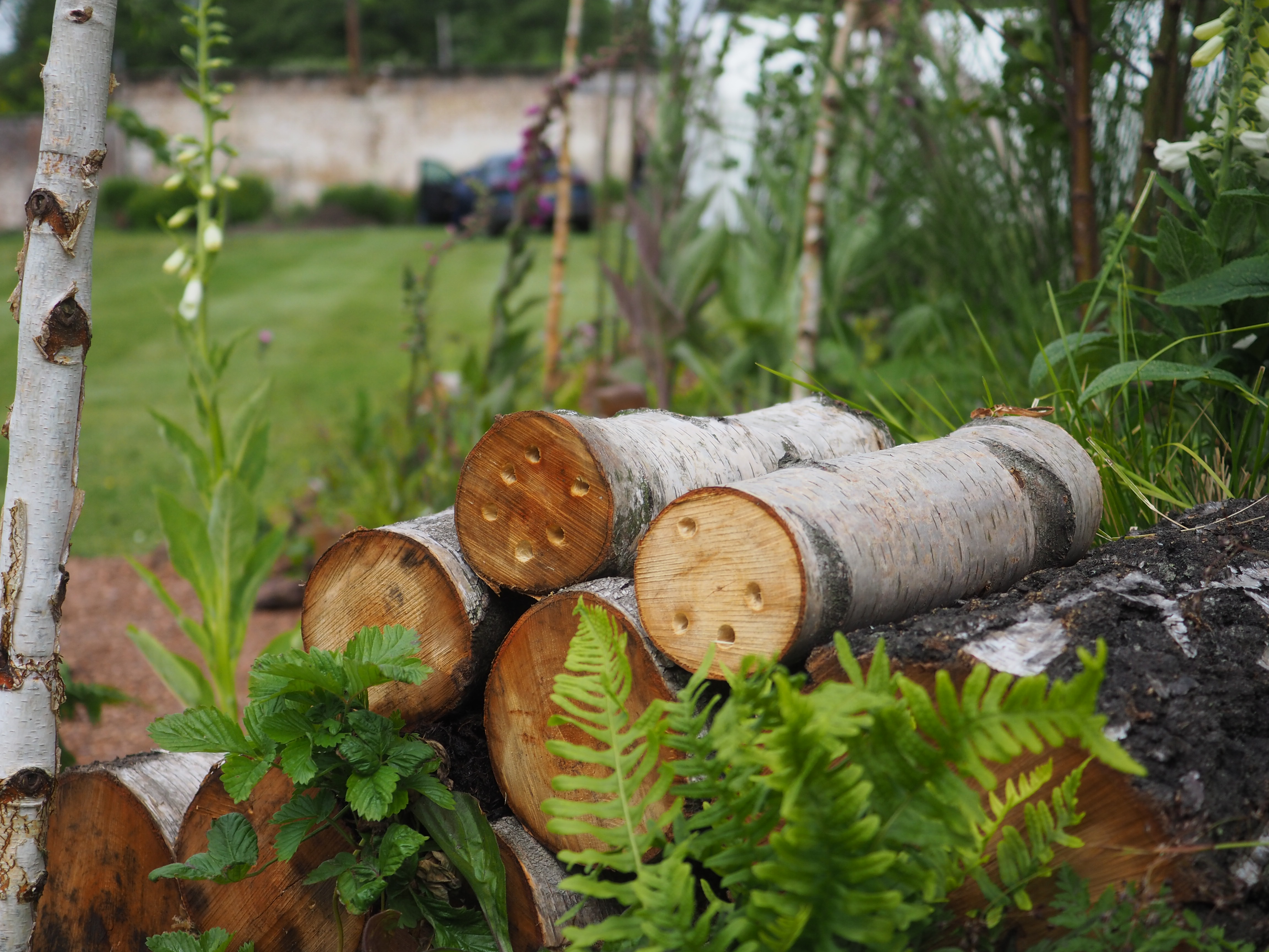 Plot Twist Scone Palace Show Garden