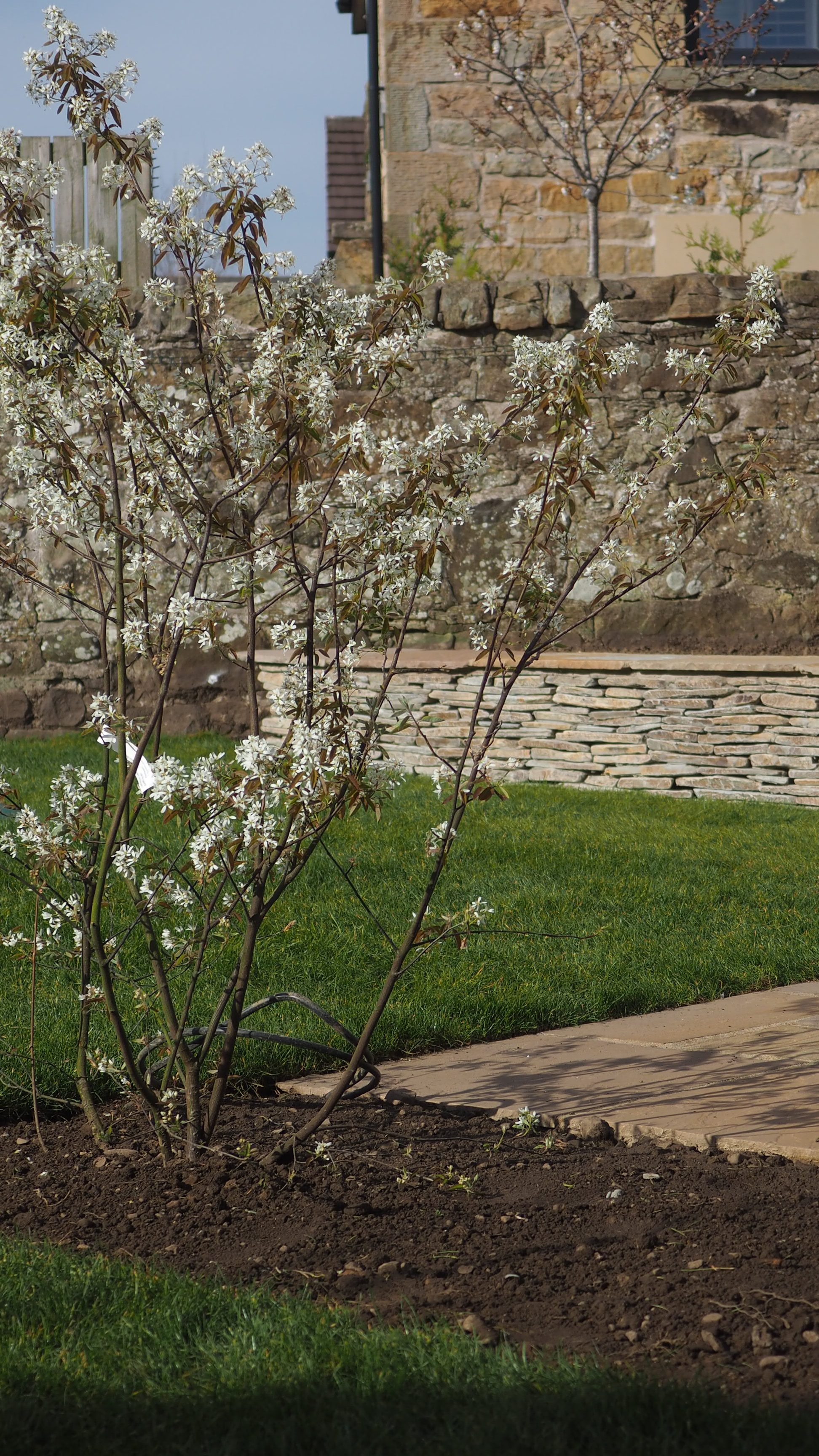 A recently redesigned garden in Winchburgh