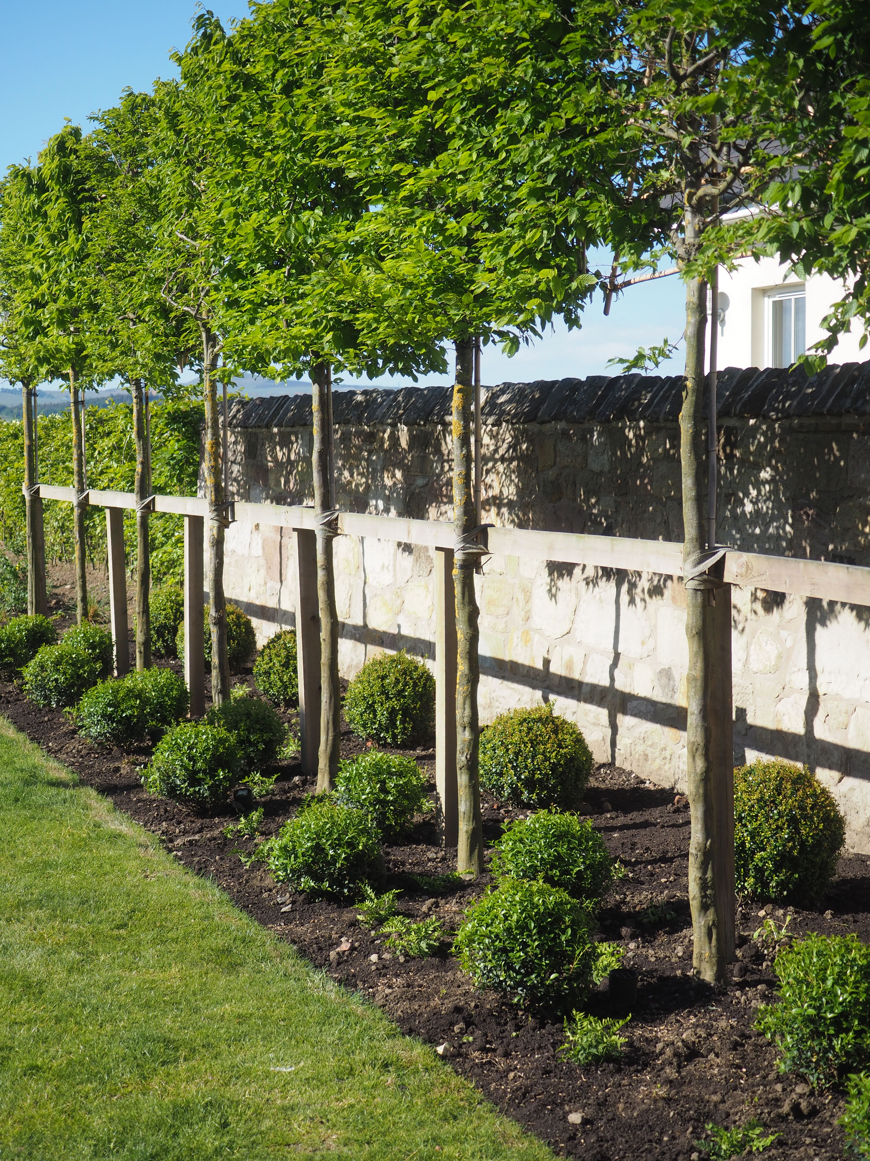 Fife farmhouse garden redesign by Plot Twist